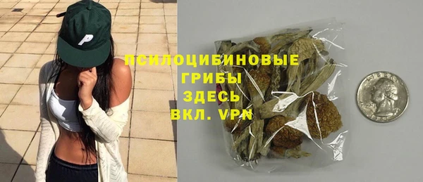 Альфа ПВП Володарск