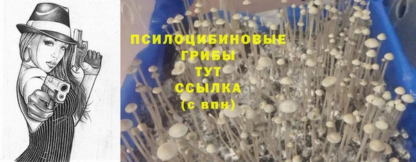 Альфа ПВП Володарск