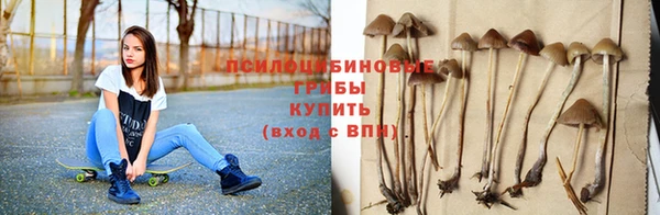дурь Волоколамск
