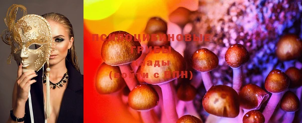 Альфа ПВП Володарск