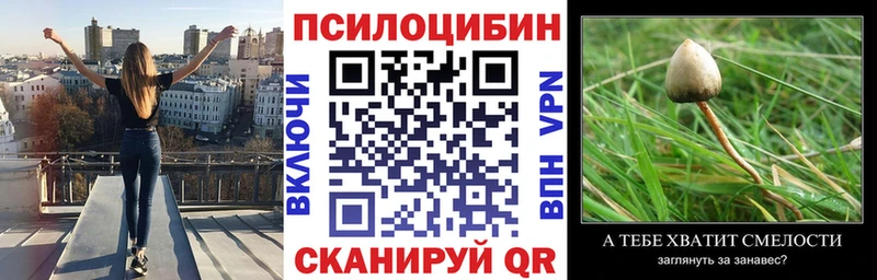 Псилоцибиновые грибы мухоморы  Купить где  Кузнецк 